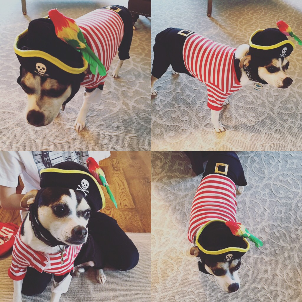 Buddy the Pirate Elf