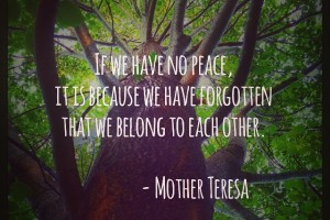 We Belong to Each Other