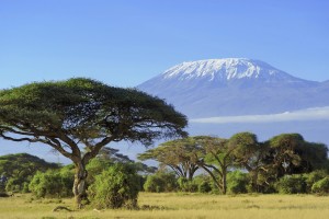 Kilimanjaro