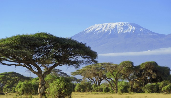 Kilimanjaro